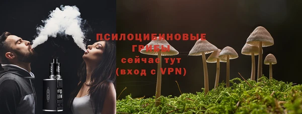 крисы Абдулино