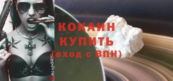 индика Абаза