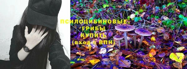 крисы Абдулино