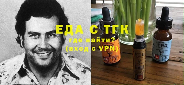 индика Абаза