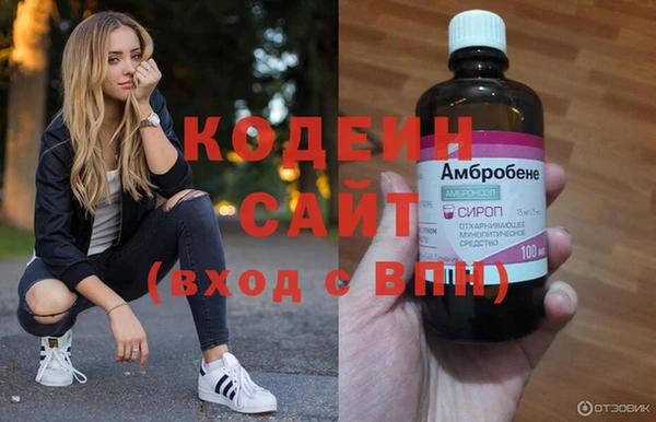 индика Абаза