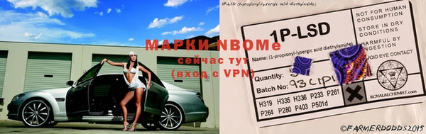 крисы Абдулино
