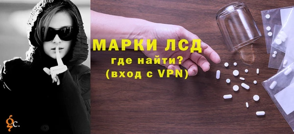 индика Абаза
