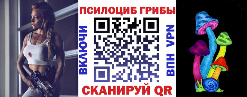 где купить наркоту  Томари  Галлюциногенные грибы Magic Shrooms 